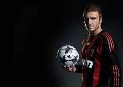 山东泰山,大胜青岛,费莱尼连场,香港赛马,赛程安排,赛果查询,马匹资料,赛事动态