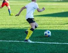 布萊頓主場,大勝狼隊,寫下英超新,香港赛马,赛程安排,赛果查询,马匹资料,赛事动态